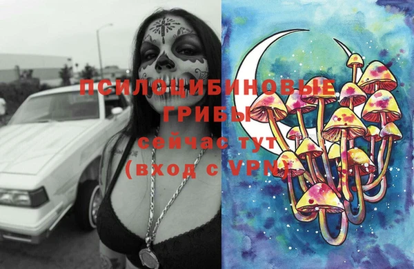 дживик Приозерск