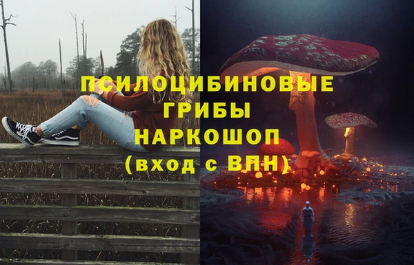дживик Приозерск