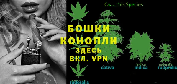 дживик Приозерск