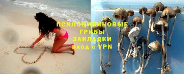 дживик Приозерск