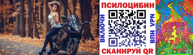 Галлюциногенные грибы Magic Shrooms  Купить закладки  Благовещенск 